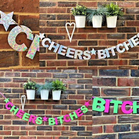 Cheers Bitches Hen night Bunting, Banner